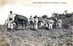 1789- Algerie - Artillerie de montagne
